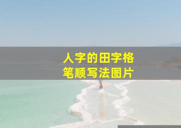 人字的田字格笔顺写法图片