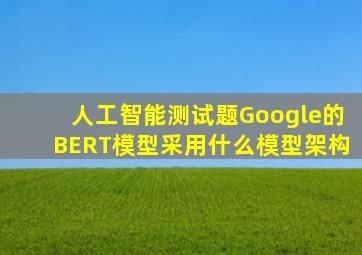 人工智能测试题Google的BERT模型采用什么模型架构