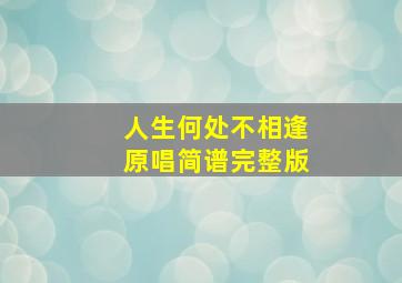 人生何处不相逢原唱简谱完整版