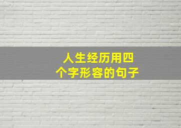 人生经历用四个字形容的句子