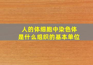 人的体细胞中染色体是什么组织的基本单位