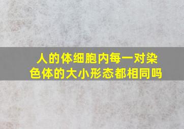 人的体细胞内每一对染色体的大小形态都相同吗