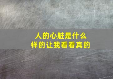 人的心脏是什么样的让我看看真的