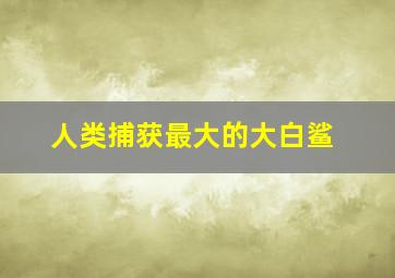 人类捕获最大的大白鲨