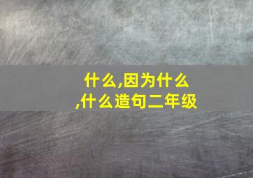 什么,因为什么,什么造句二年级