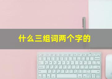 什么三组词两个字的