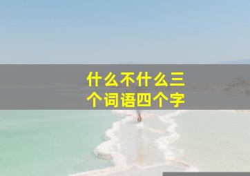 什么不什么三个词语四个字