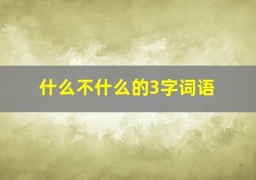 什么不什么的3字词语