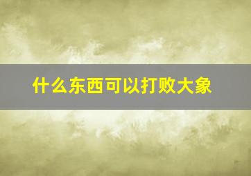 什么东西可以打败大象