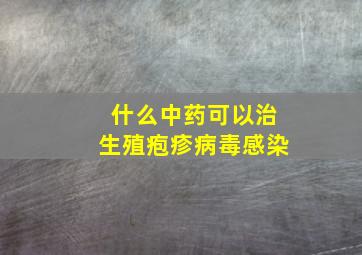 什么中药可以治生殖疱疹病毒感染