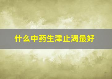 什么中药生津止渴最好