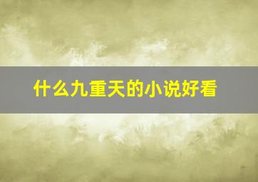 什么九重天的小说好看