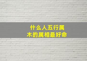 什么人五行属木的属相最好命