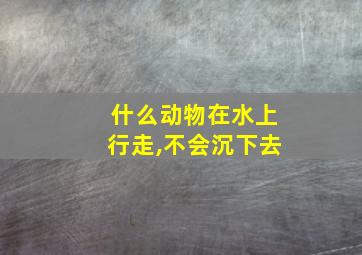 什么动物在水上行走,不会沉下去