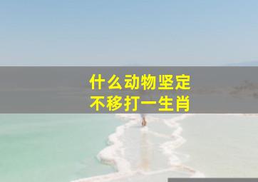 什么动物坚定不移打一生肖