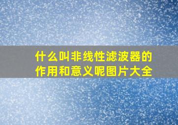 什么叫非线性滤波器的作用和意义呢图片大全