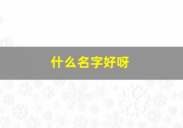 什么名字好呀