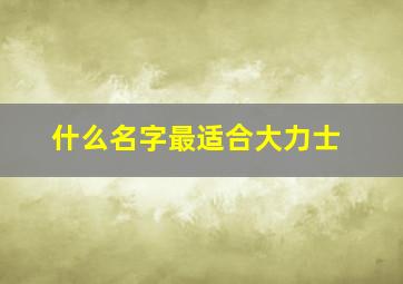 什么名字最适合大力士