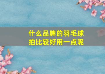 什么品牌的羽毛球拍比较好用一点呢