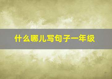 什么哪儿写句子一年级