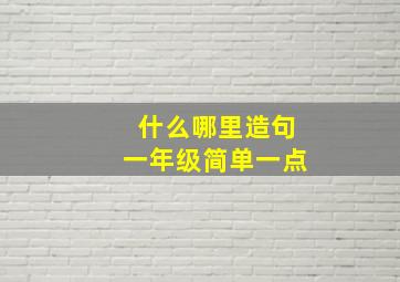 什么哪里造句一年级简单一点