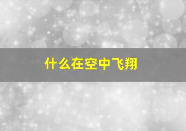 什么在空中飞翔