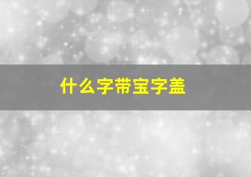 什么字带宝字盖