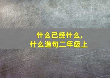 什么已经什么,什么造句二年级上