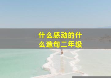 什么感动的什么造句二年级