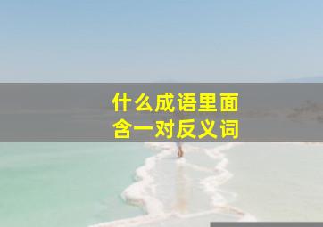 什么成语里面含一对反义词