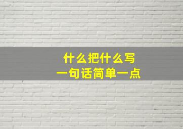 什么把什么写一句话简单一点