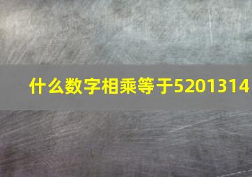 什么数字相乘等于5201314