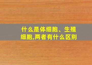 什么是体细胞、生殖细胞,两者有什么区别