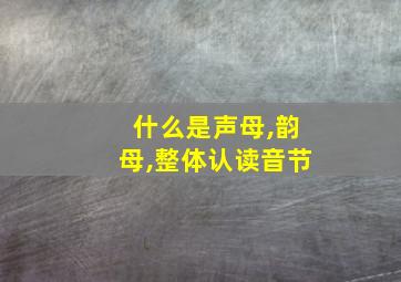 什么是声母,韵母,整体认读音节