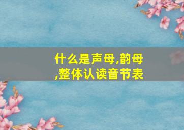 什么是声母,韵母,整体认读音节表