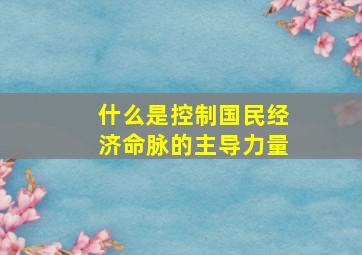 什么是控制国民经济命脉的主导力量