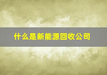 什么是新能源回收公司