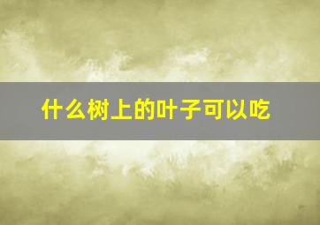 什么树上的叶子可以吃