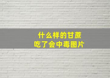 什么样的甘蔗吃了会中毒图片