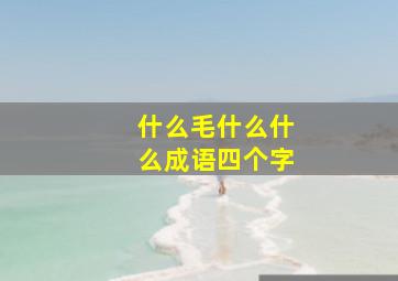 什么毛什么什么成语四个字