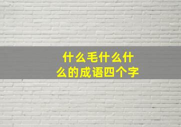 什么毛什么什么的成语四个字