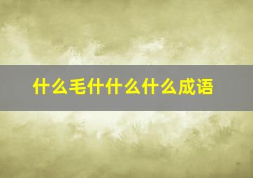 什么毛什什么什么成语