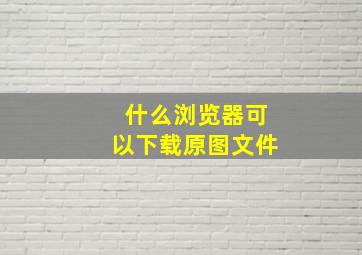 什么浏览器可以下载原图文件