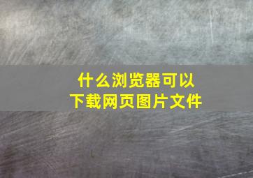 什么浏览器可以下载网页图片文件