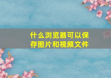 什么浏览器可以保存图片和视频文件