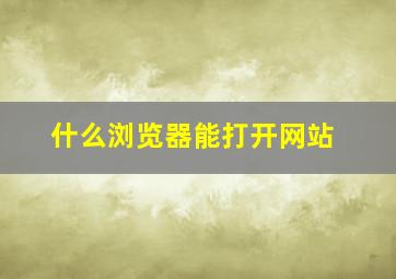 什么浏览器能打开网站