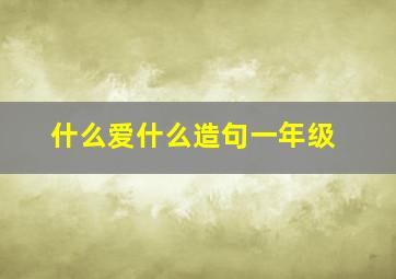 什么爱什么造句一年级