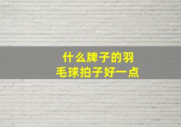 什么牌子的羽毛球拍子好一点