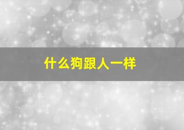 什么狗跟人一样