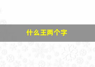 什么王两个字